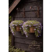 Countryfield Plantenhaak – Roestkleurig & Stevig