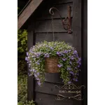 Countryfield Plantenhaak – Roestkleurig & Stevig