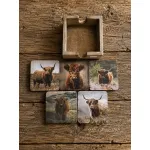 Houten onderzetters